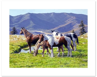 Horses in Mountain Meadow Watercolor Fine Art Print (12"h x 16"w image)