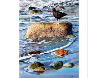 Oystercatcher Shorebird at Surf’s Edge Watercolor Fine Art Print (16"h x 12"w image)