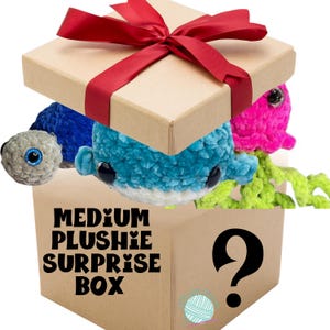Medium Crochet Plushie Surprise Box, Handmade Crochet Medium Size Plushies Surprise Boxes, Multiple Options