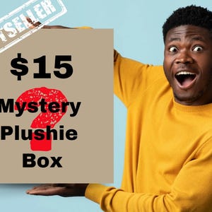 Surprise Plushie Bundle, Handpicked Mystery Set Plushie Mystery Box, Crochet Plushie Mystery Box