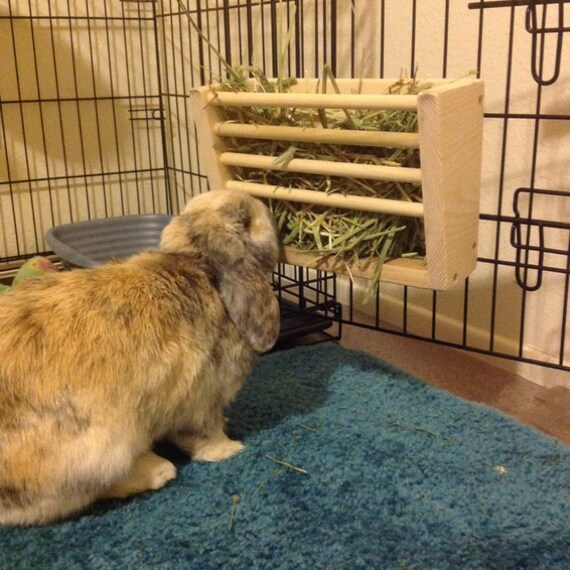 Hanging Bunny Rabbit Wooden Hay Feeder Etsy