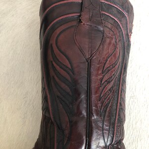 Puede incluir: Primer plano de una bota de vaquero de cuero marr&oacute;n. La bota presenta costuras decorativas negras y rojas, una puntera puntiaguda y una ca&ntilde;a alta. El cuero tiene un acabado brillante.