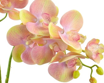 27.6" Echter Touch Künstliche Schmetterling Orchidee/Motte Orchidee/Phalaenopsis Blüten 70cm Zitronenrosa 2 Stiele