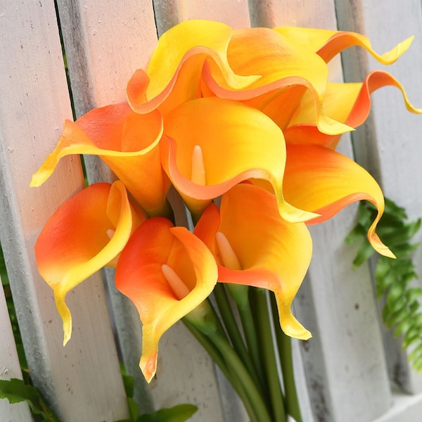 Orange Calla Lily Etsy