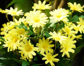 Künstlicher gelber Gänseblümchen-Blumenstrauß, Blumengesteck-Dekoration