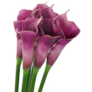 FiveSeasonStuff 6 Long Stems Real Touch Artificial Flowers (Purple) Calla Lily Bouquet, Home Wedding Party Décor DIY 25.2’’ (64cm)