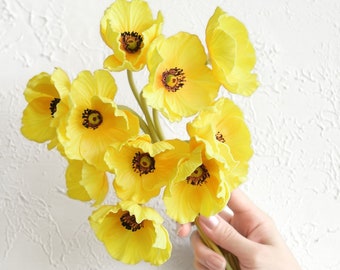 Puede incluir: Un ramo de flores de amapola amarillas sostenido en una mano sobre un fondo blanco texturizado.