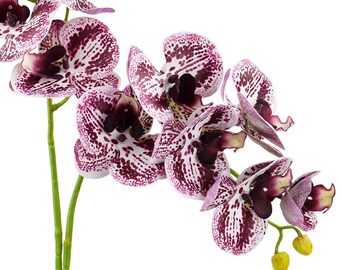 Real Touch Artificial Butterfly Orchid, Dark Magenta, 27.6"