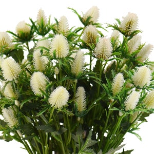 FiveSeasonStuff 5 Stems Real Size Artificial Thistle Spray Real Touch Eryngium(White Sea Holly) 26.8in(68cm)