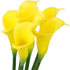 Könnte beinhalten: Ein Strauß mit fünf gelben Calla-Lilien mit grünen Stielen.