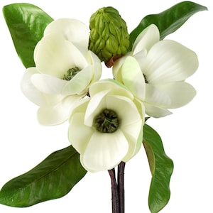 FiveSeasonStuff Purity White Magnolia Artificial Flowers Arrangement with 4 Stems, Wedding Bridesmaids Bouquet Bridal Showers Home Decor