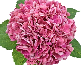 Real Touch Magenta Pink Hydrangea Stems | Artificial Floral Arrangement (2 Stems)