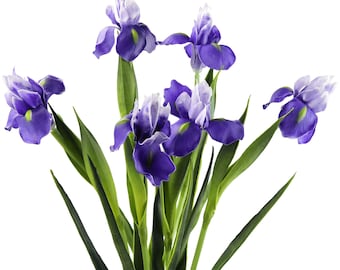 FiveSeasonStuff 6 Long Stems Iris Real Touch Artificial Flower Bouquet Flower Arrangement 23.6’’ (Dark Purple)