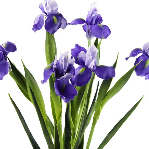 Fiveseasonstuff 10 Stems of purple Real Touch Tulip - Etsy Canada