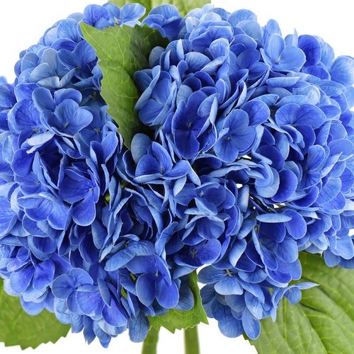 Fiveseasonstuff Real Touch Petals and Leaves Artificial Etsy