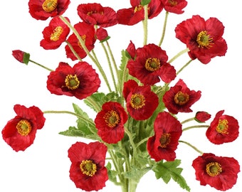 Puede incluir: Un ramo de flores de amapola roja con tallos y hojas verdes. Las flores están en plena floración y tienen una textura aterciopelada.