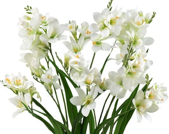 Real Touch Freesia (wit) lange stengel kunstbloemen, bruiloft, home decor, arrangement 6 stengels