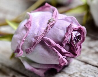 Rose rosa polverose Real Touch da 29,5, rose finte da giardino, rose artificiali, fiori fai da te, bouquet da sposa fai da te, decorazioni per la casa/cucina - Italia