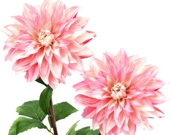 FiveSeasonStuff Fleurs artificielles Dahlia Fleurs de soie pour l’extérieur à l’intérieur et grands vases (rose clair doux) 2 tiges