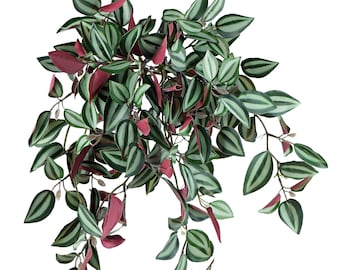 FiveSeasonStuff Real Touch Artificial Hanging Foliage Plant Tradescantia Zebrina House Plants  2 Stems