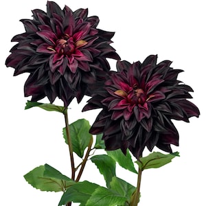 FiveSeasonStuff  Dahlia Silk Flowers Artificial Flowers for Outdoors Indoors and Tall Vases (Dark Plum Purple) 2 Stems