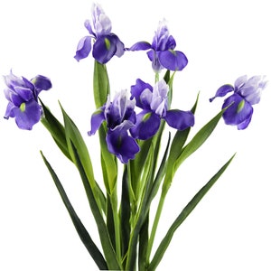 FiveSeasonStuff 6 Long Stems Iris Real Touch Artificial Flower Bouquet Flower Arrangement 23.6 Dark Purple image 1