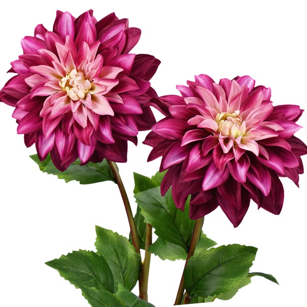 FiveSeasonStuff Artificial Flowers Dahlia Silk Flowers for Outdoors Indoors and Tall Vases (French Pink) 2 Stems