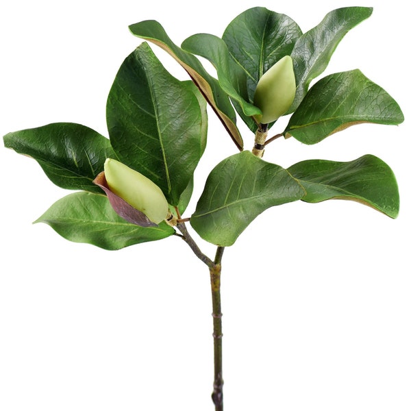 Magnolia Leaf Spray with Buds Artificial Greenery 25 inches - FiveSeasonStuff Floral