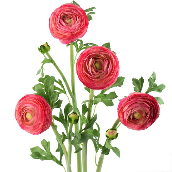 FiveSeasonStuff Real Touch Buttercup | Ranunculus Asiaticus (Rosy Pink) Artificial Silk Flowers  (4 Stems)