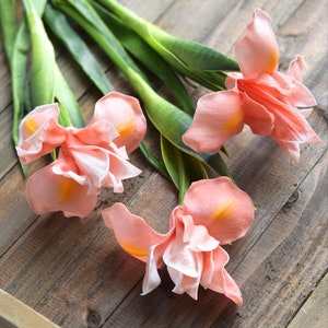 FiveSeasonStuff 6 Long Stems Iris (Pink) Real Touch Artificial Flower Bouquet Flower Arrangement 23.6’’