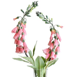 Puede incluir: Un ramo de flores de dedalera rosa en un jarrón de vidrio transparente. Las flores están dispuestas en forma circular, con los tallos que se extienden desde el centro del jarrón.