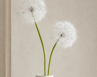 Faux Dandelion Stems (Oversized 25"): Wish Puff for Tall Vases