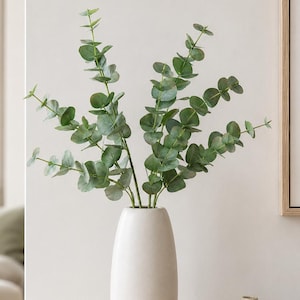 Real Touch Eucalyptus Stems, 23-Inch Dusty Green Silver Dollar Leaves