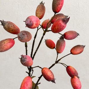 May include: A decorative branch featuring multiple oval-shaped rose hips with a gradient of red, pink, and muted brown tones. The berries are attached to thin, dark brown woody stems, with small dark calyxes at the tips of each individual fruit.