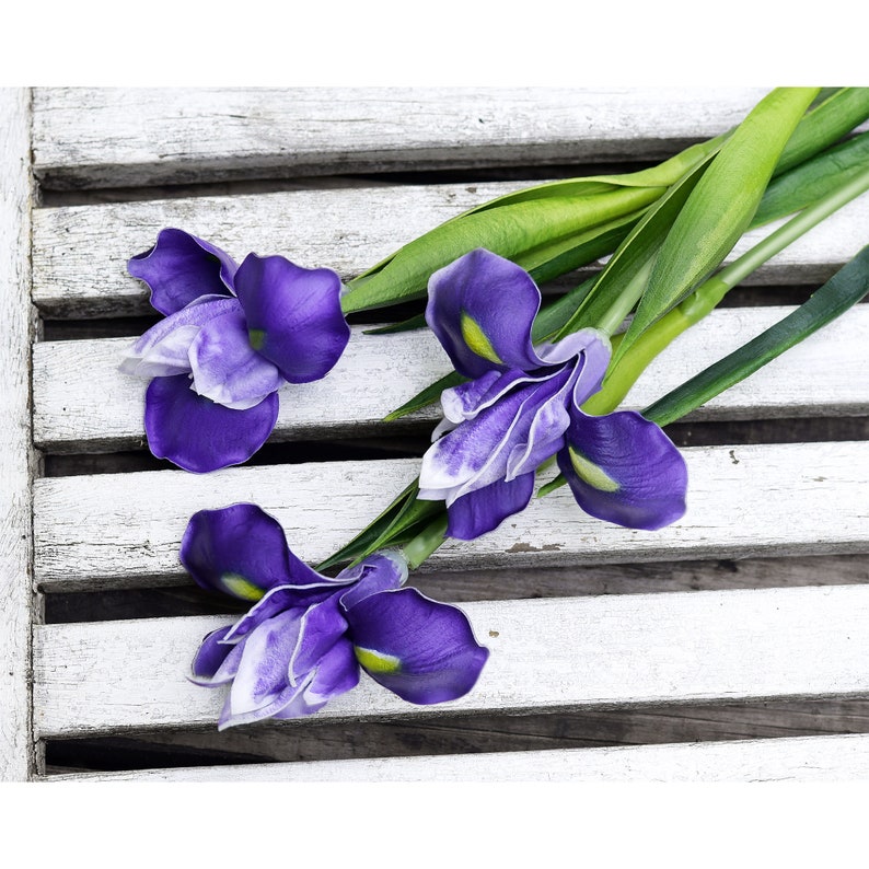FiveSeasonStuff 6 Long Stems Iris Real Touch Artificial Flower Bouquet Flower Arrangement 23.6 Dark Purple image 8