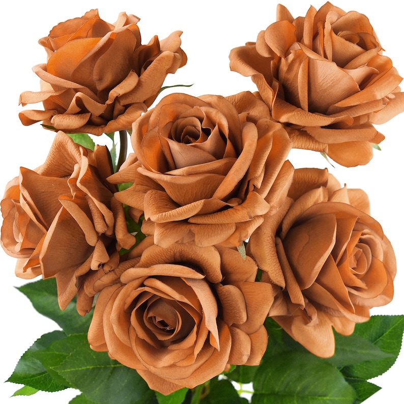 Rust Colored Real Roses 6 Long Stems Rust Orange Real Touch Garden Roses Large Blooms - Etsy