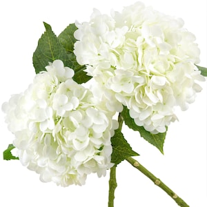Pode incluir: Duas hastes de flores de hortênsia brancas com folhas verdes. As flores grandes e cheias são de cor branco creme, e as folhas são de um verde vibrante. As hastes são de cor verde claro. As flores são provavelmente artificiais e adequadas para decoração de casa.