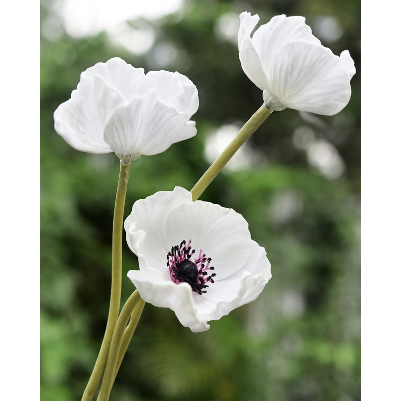 May include: Three white artificial poppy flowers with green stems. The center of one flower has a black and pink center.