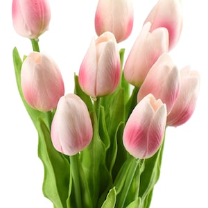 May include: A bouquet of pink and white tulips with green stems and leaves.