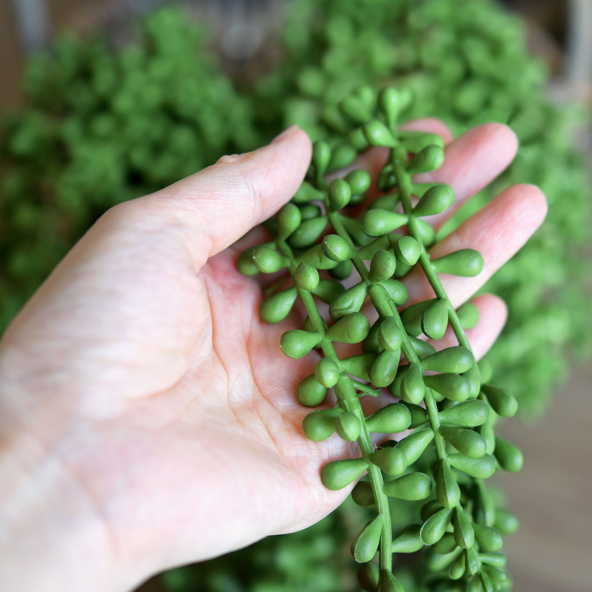 Artificial Succulents Hanging Faux Plants Fake String of Pearls (Set of 2) Primrue Size: 23.6 H x 3 W x 3 D