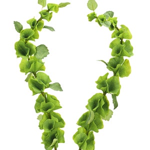 Konstgjorda stjälkar av Bells of Ireland | Gröna fyllnadsblommor, 90 cm höga