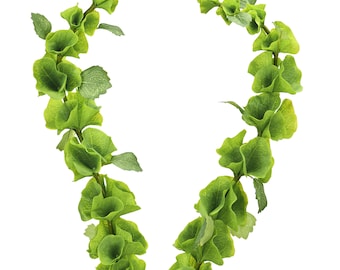 Tallos artificiales de campanillas de Irlanda / Flores de relleno verde, 37'' (Juego de 2)