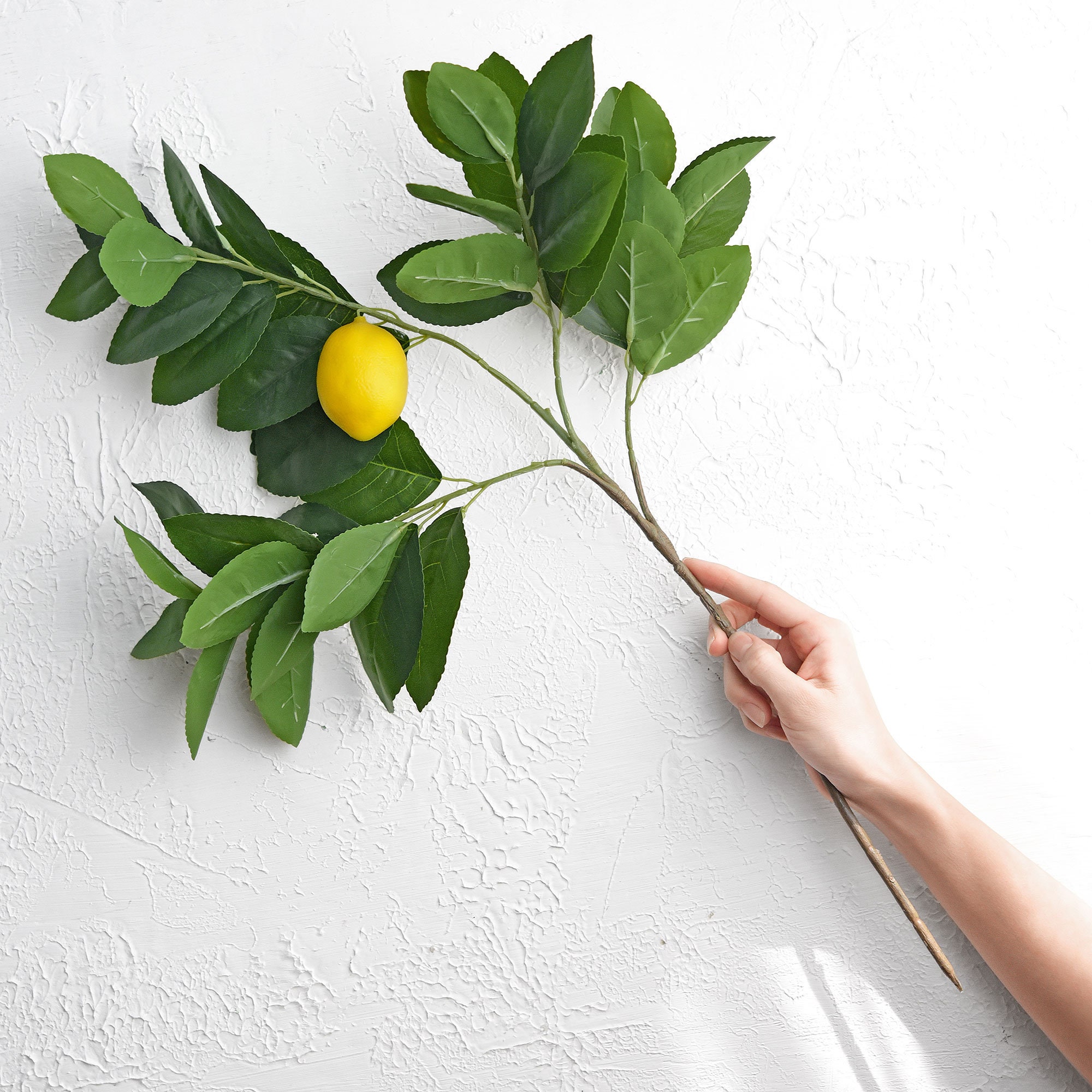 Branche De Citron Artificielle Avec Fruits - Décoration Maison Et Bureau - 48 Cm, Réglable - 3