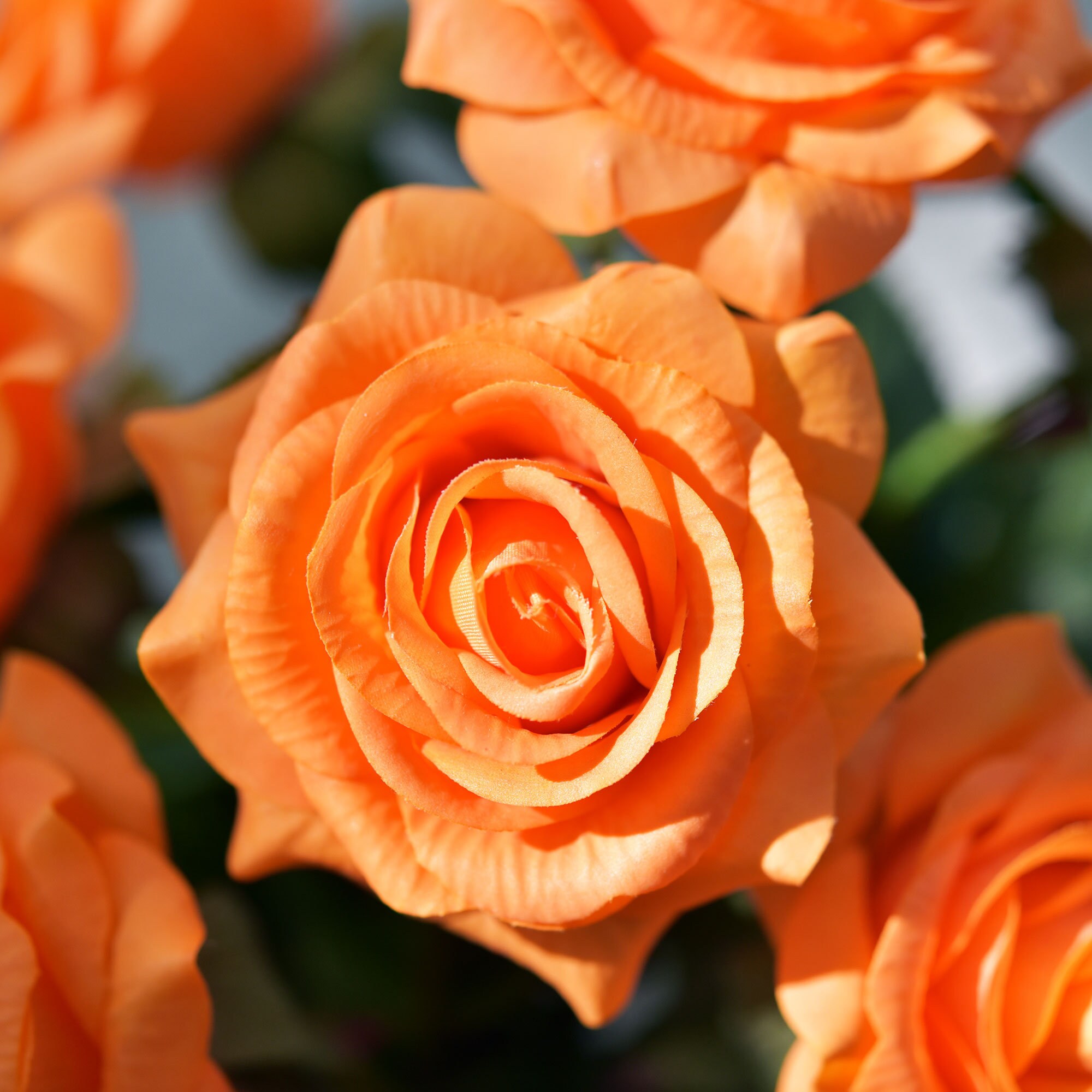 Fake Orange Roses Real Touch Orange Roses - Silk Artificial Flowers, 10 Stems - Etsy