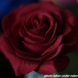 Dark Red Real Touch Roses Silk Artificial Flowers petals Feel and Look ...