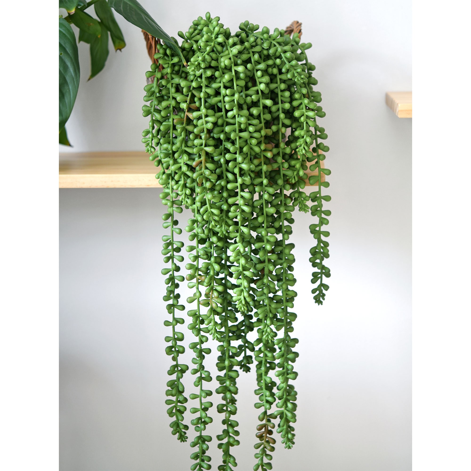Faux String Of Pearls In Pot By Marquis & Dawe