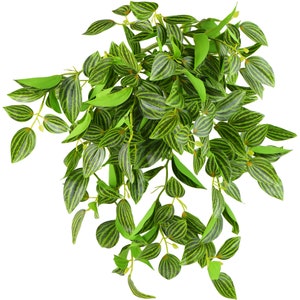 May include: A green artificial hanging plant with long, trailing stems and leaves with dark green stripes. The plant is made of plastic and is designed to look like a real plant.
