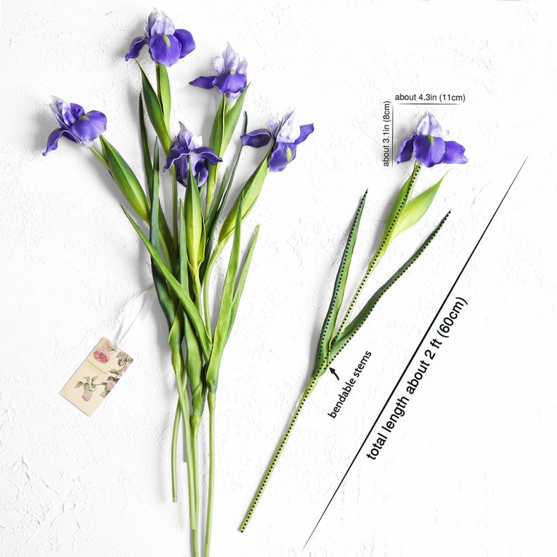 FiveSeasonStuff 6 Long Stems Iris Real Touch Artificial Flower Bouquet Flower Arrangement 23.6 Dark Purple image 7