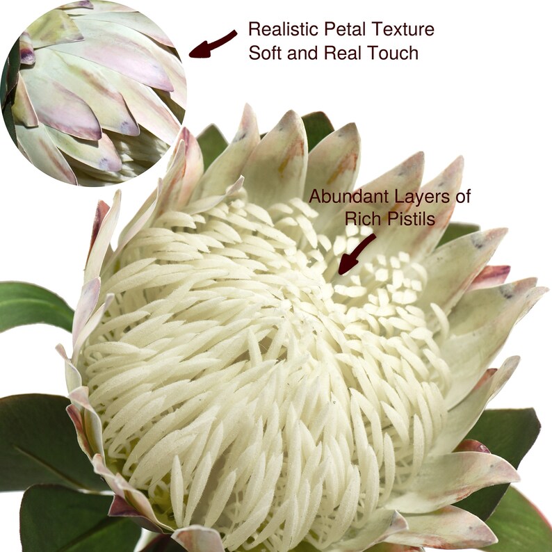 FiveSeasonStuff 1 Stem Floral White King Protea Silk Etsy