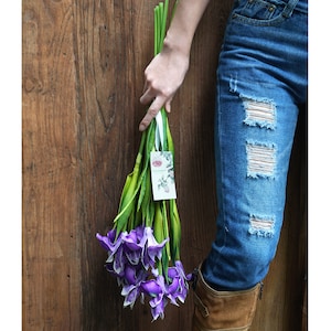 FiveSeasonStuff 6 Long Stems Iris Real Touch Artificial Flower Bouquet Flower Arrangement 23.6 Dark Purple image 10